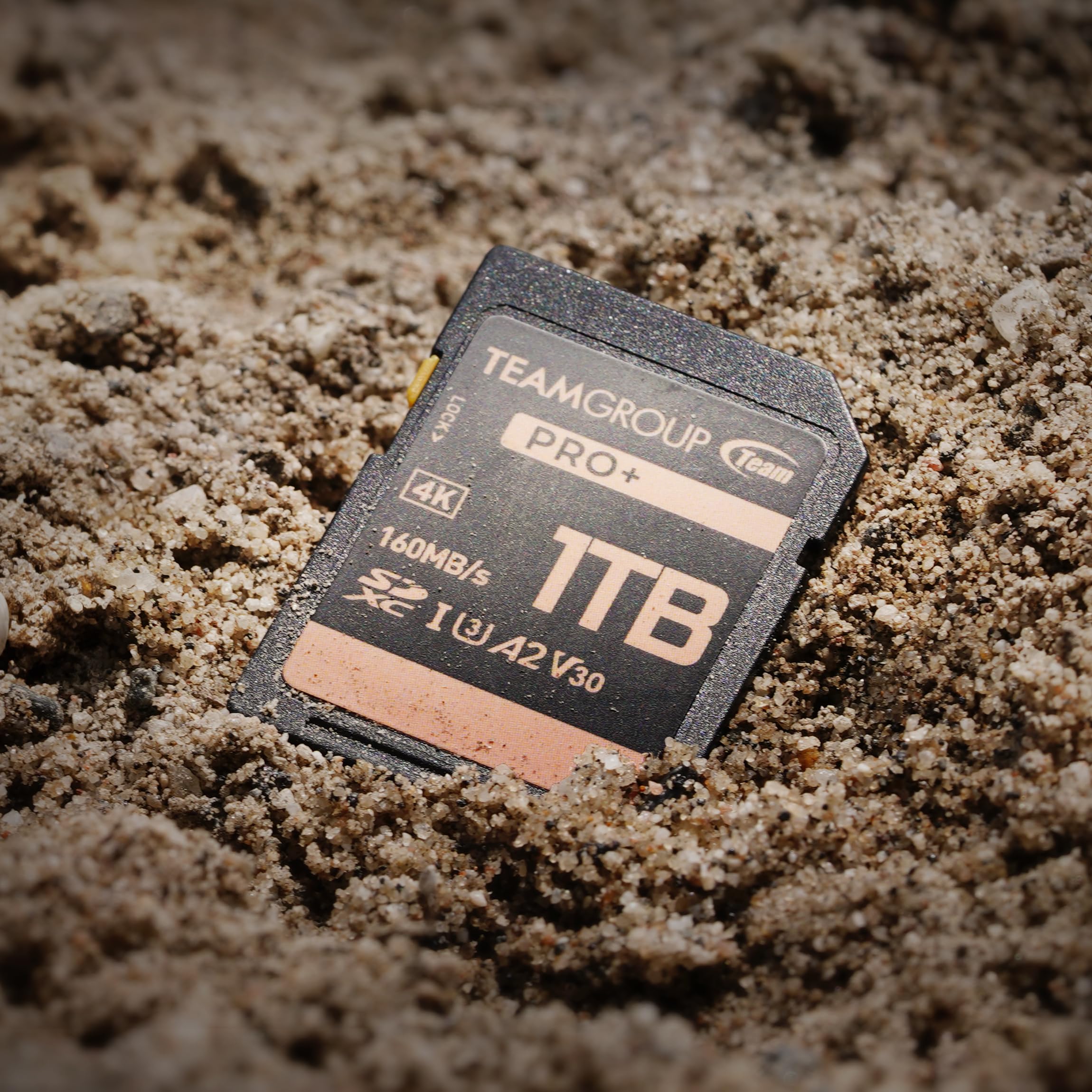 TEAMGROUP PRO 1TB UHS-I U3 A2 V30 4K UHD Read/Write Speed up to 160/120MB/s SDXC Memory Card for Professional Vloggers, Filmmakers, Photographers & Content Curators TPPSDX1TIA2V3001 - Image 5