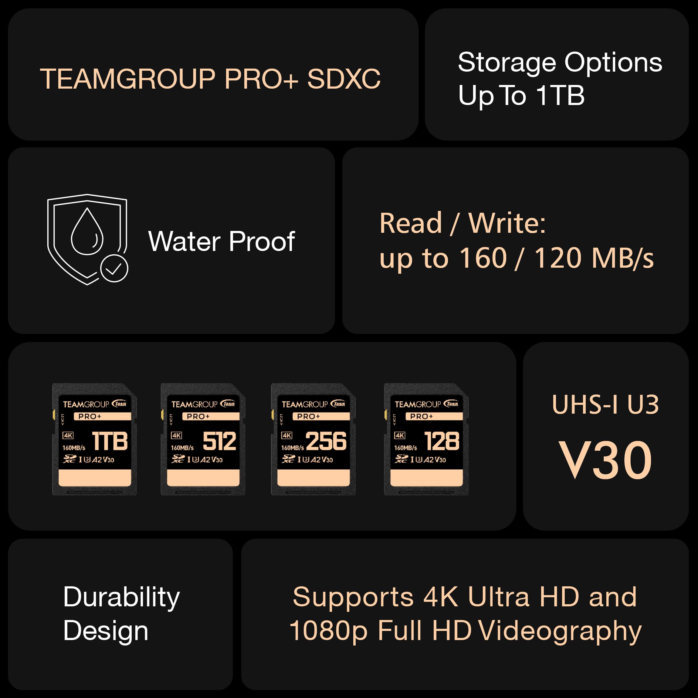 TEAMGROUP PRO 1TB UHS-I U3 A2 V30 4K UHD Read/Write Speed up to 160/120MB/s SDXC Memory Card for Professional Vloggers, Filmmakers, Photographers & Content Curators TPPSDX1TIA2V3001 - Image 7